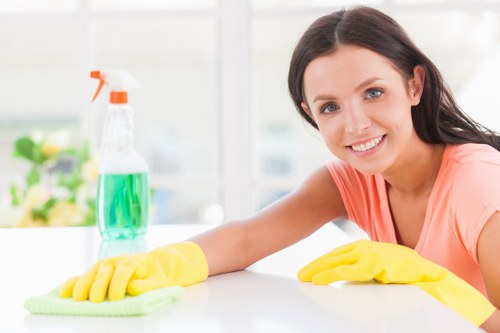 Pet stain odour removal service for carpet in Shepherdsbush home