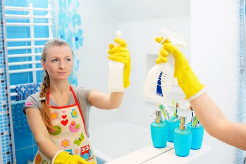 Regular cleaning service in Shepherdsbush for homes and flats