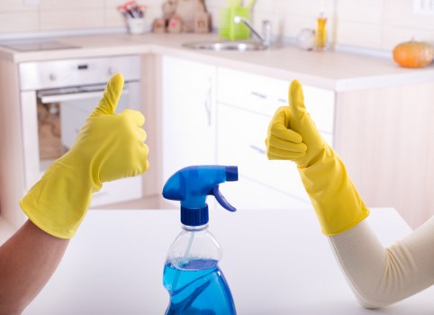 Professional cleaners working in a Shepherds Bush home