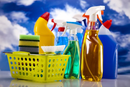 Professional cleaners working in a Shepherd's Bush home