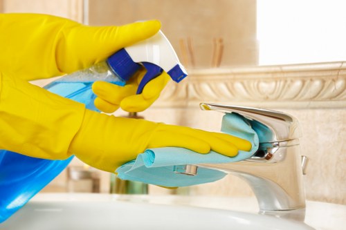 Cookies supporting essential website functions for Cleaners Shepherdsbush