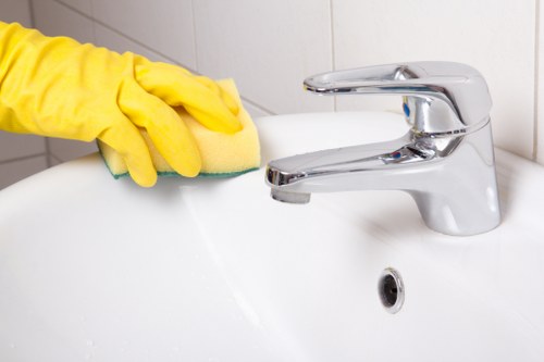 Local domestic cleaner working in a Shepherdsbush flat