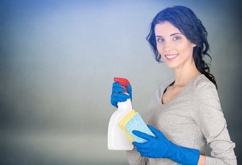 Carpet steam cleaning setup for a Shepherdsbush flat